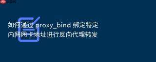 如何通过 proxy_bind 绑定特定内网网卡地址进行反向代理转发