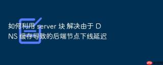 如何利用 server 块 解决由于 dns 缓存导致的后端节点下线延迟