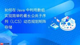 如何在 java 中利用数组实现简单的最长公共子序列(lcs)动态规划矩阵存储