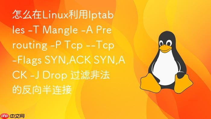 怎么在linux利用iptables -t mangle -a prerouting -p tcp --tcp-flags syn,ack syn,ack -j drop 过滤非法的反向半连接