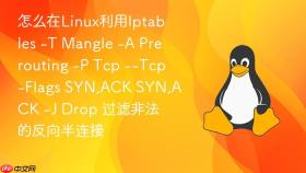 怎么在linux利用iptables -t mangle -a prerouting -p tcp --tcp-flags syn,ack syn,ack -j drop 过滤非法的反向半连接