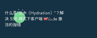什么是“注水（hydration）”？解决 ssr 模式下客户端 vnode 激活的报错