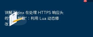 详解 nginx 在处理 https 响应头的“隐私脱敏”：利用 lua 动态修改