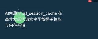 如何通过 ssl_session_cache 在高并发反代请求中平衡握手性能与内存开销