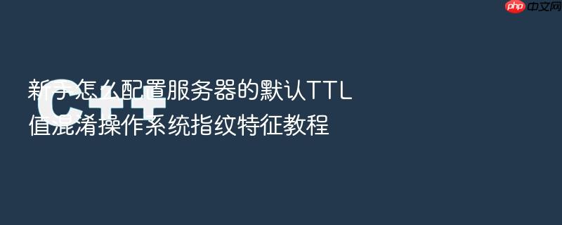 新手怎么配置服务器的默认ttl值混淆操作系统指纹特征教程