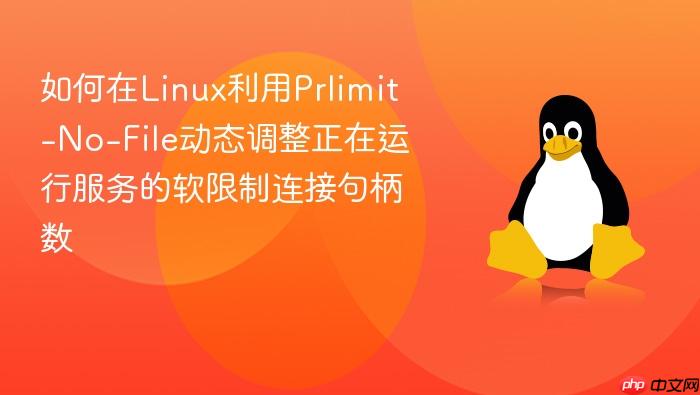 如何在linux利用prlimit-no-file动态调整正在运行服务的软限制连接句柄数