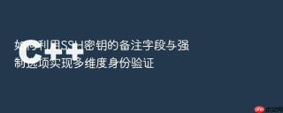 如何利用ssh密钥的备注字段与强制选项实现多维度身份验证