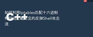 如何利用Iptables匹配十六进制特征码拦截常见的反弹Shell攻击流