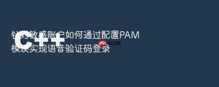 针对敏感账户如何通过配置PAM模块实现语音验证码登录