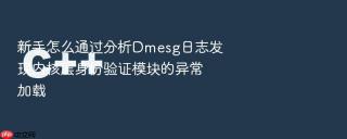 新手怎么通过分析Dmesg日志发现内核层身份验证模块的异常加载