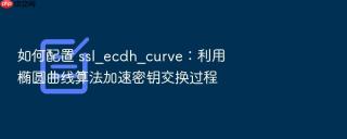 如何配置 ssl_ecdh_curve:利用椭圆曲线算法加速密钥交换过程