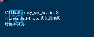 如何通过 proxy_set_header x-forwarded-proto 告知后端原始请求协议
