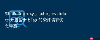 如何配置 proxy_cache_revalidate 开启基于 etag 的条件请求优化带宽