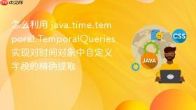 怎么利用 java.time.temporal.temporalqueries 实现对时间对象中自定义字段的精确提取