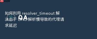 如何利用 resolver_timeout 解决由于 dns 解析慢导致的代理请求延迟
