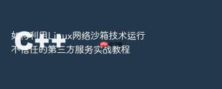 如何利用linux网络沙箱技术运行不信任的第三方服务实战教程