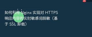 如何利用 nginx 实现对 https 响应内容的实时敏感词脱敏(基于 ssl 卸载)