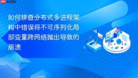 如何排查分布式多进程架构中错误将不可序列化局部变量跨网络抛出导致的崩溃
