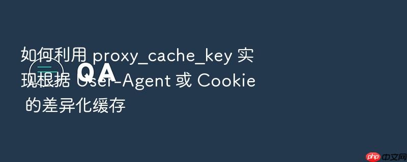 如何利用 proxy_cache_key 实现根据 user-agent 或 cookie 的差异化缓存