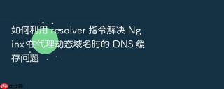 如何利用 resolver 指令解决 nginx 在代理动态域名时的 dns 缓存问题