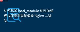 如何配置 load_module 动态加载模块而无需重新编译 nginx 二进制