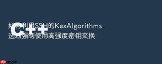 如何利用ssh的kexalgorithms选项强制使用高强度密钥交换
