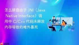 怎么排查由于 jni（java native interface）调用中 c/c++ 代码未释放内存导致的堆外暴死