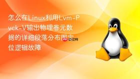 怎么在linux利用lvm-pvck-v输出物理卷元数据的详细段落分布图定位逻辑故障