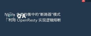 nginx 负载均衡中的“断路器”模式：利用 openresty 实现逻辑熔断