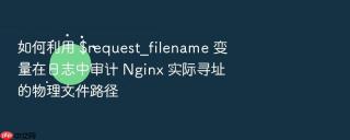 如何利用 $request_filename 变量在日志中审计 nginx 实际寻址的物理文件路径
