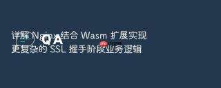 详解 nginx 结合 wasm 扩展实现更复杂的 ssl 握手阶段业务逻辑