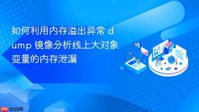 如何利用内存溢出异常 dump 镜像分析线上大对象变量的内存泄漏