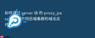 如何通过 server 块 的 proxy_pass 实现对不同后端集群的域名反代