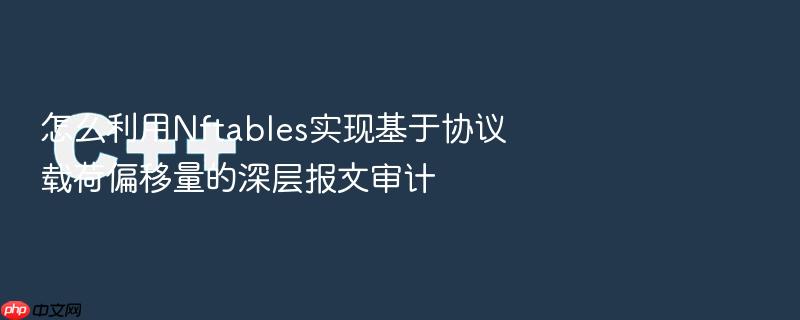 怎么利用nftables实现基于协议载荷偏移量的深层报文审计