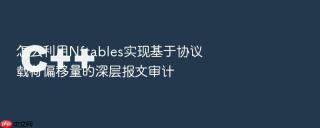 怎么利用nftables实现基于协议载荷偏移量的深层报文审计