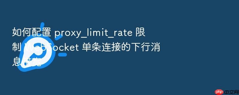 如何配置 proxy_limit_rate 限制 websocket 单条连接的下行消息带宽