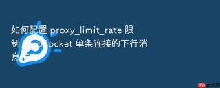 如何配置 proxy_limit_rate 限制 websocket 单条连接的下行消息带宽