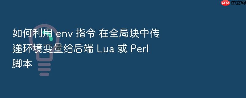 如何利用 env 指令 在全局块中传递环境变量给后端 lua 或 perl 脚本