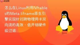 怎么在linux利用nftables的meta iifname原生引擎实现针对跨物理网卡双向流的高效、低开销硬件级过滤