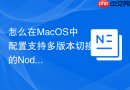 怎么在MacOS中配置支持多版本切换的Nodejs开发环境