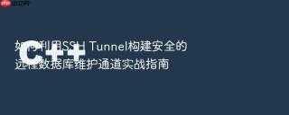 如何利用ssh tunnel构建安全的远程数据库维护通道实战指南