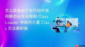 怎么排查由于在代码中误用静态长生命周期 classloader 导致的大量 class 无法被卸载