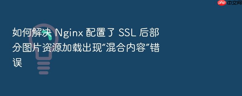 如何解决 nginx 配置了 ssl 后部分图片资源加载出现“混合内容”错误