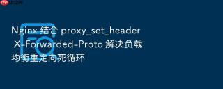 nginx 结合 proxy_set_header x-forwarded-proto 解决负载均衡重定向死循环