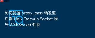 如何配置 proxy_pass 转发至后端 Unix Domain Socket 提升 WebSocket 性能