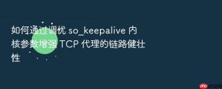 如何通过调优 so_keepalive 内核参数增强 tcp 代理的链路健壮性