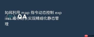 如何利用 map 指令动态控制 expires 缓存时长实现精细化静态管理