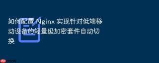如何配置 nginx 实现针对低端移动设备的轻量级加密套件自动切换