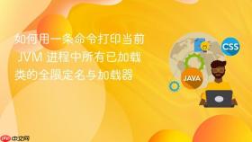 如何用一条命令打印当前 jvm 进程中所有已加载类的全限定名与加载器