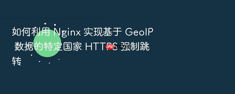 如何利用 nginx 实现基于 geoip 数据的特定国家 https 强制跳转